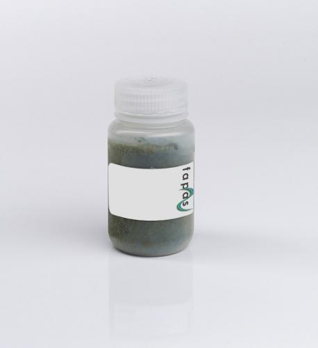 FCPM2-VEG81QC | Celery Purée | Pesticide Residues