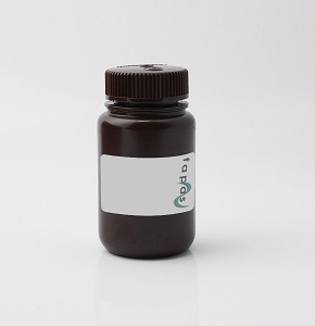 BLVD25-MRP64QC | Blank Pig Kidney | NSAIDs 